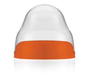 �����ǌ��ڏ���ƿ�w�Æ���