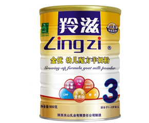 ���̋������̷�����ȫ�����������