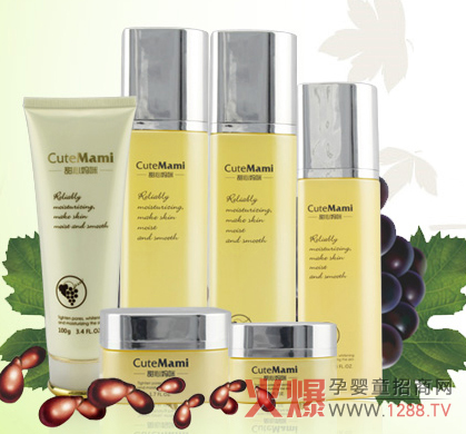 ���ċ����������o�w���b �Aע���ڼ��w��֧�����