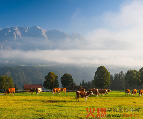 ���𿵋��׃��̷�����ȫ��(gu��)����