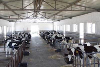 ��ţ���e�\(y��n)��(d��ng)�^(q��) 