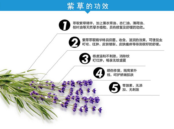 �������ȋ��׃��ϲݸ�