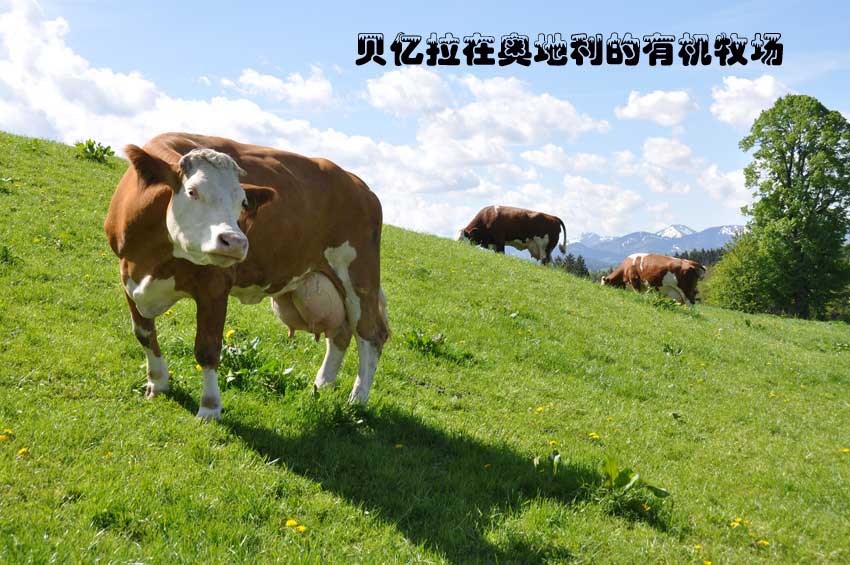 ؐ�|���ڊW�������ЙC(j��)����(ch��ng)��ţ