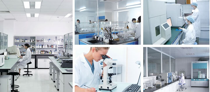 ������|(zh��)���z�y