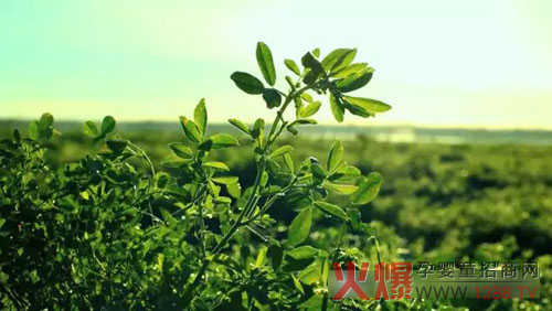 �xɽţ�̟���ӛ�������������� �����֎ײ���