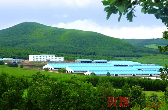 �l(f��)չ���w��(j��ng)�������_ɽ���Єӣ�