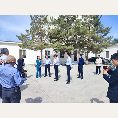 1.4.500.jpg 1.4.500.jpg