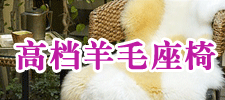 ��Ƥ��(���)Ƥ�I(y��)���޹�˾