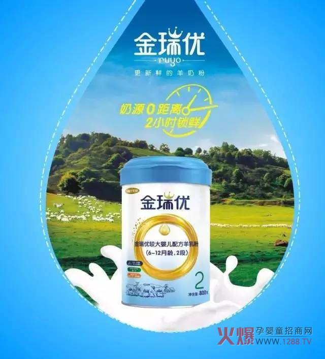 ���̷�+OPO�����ж����