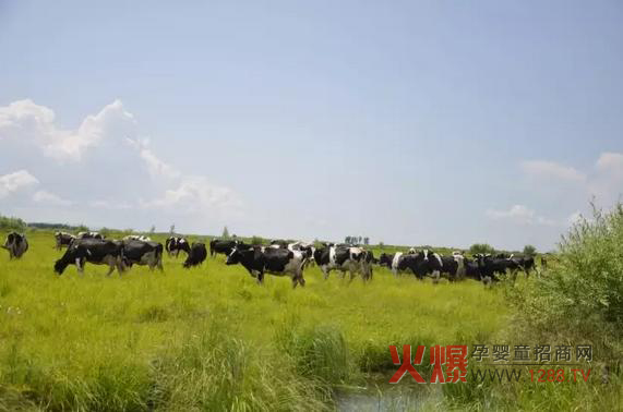 ���_ɽ�̷۞�Ε��ܵ��@ô���˵�ϲ����