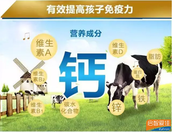 鈣的作用.jpg 鈣的作用.jpg