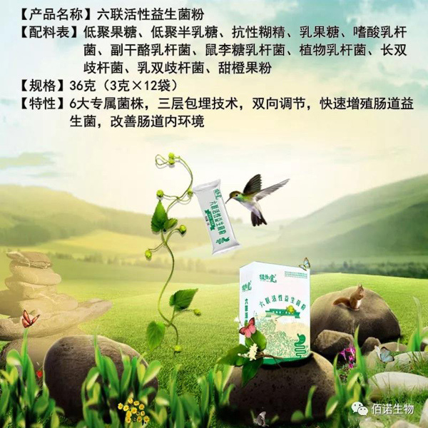 植臻堂六聯(lián)活性益生菌粉效果圖