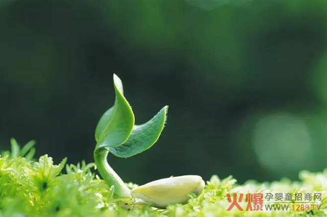 �L���c�����ߡ��p���� �@��(g��)����ؐ���߽o�҂��µ��x��