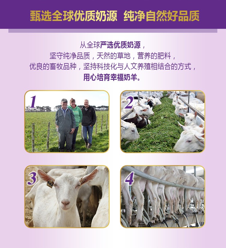  �����׃��䷽���̷ۣ�12-36���g��3�Σ�_03