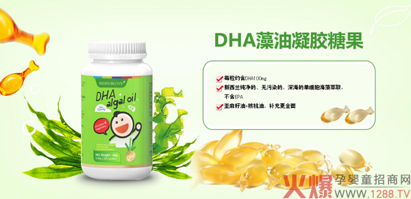 ��˼��DHA�������z�ǹ� ����Ʒ�|�I�B(y��ng)��������