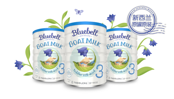 Bluebell����ؐ�����׃��䷽����.jpg