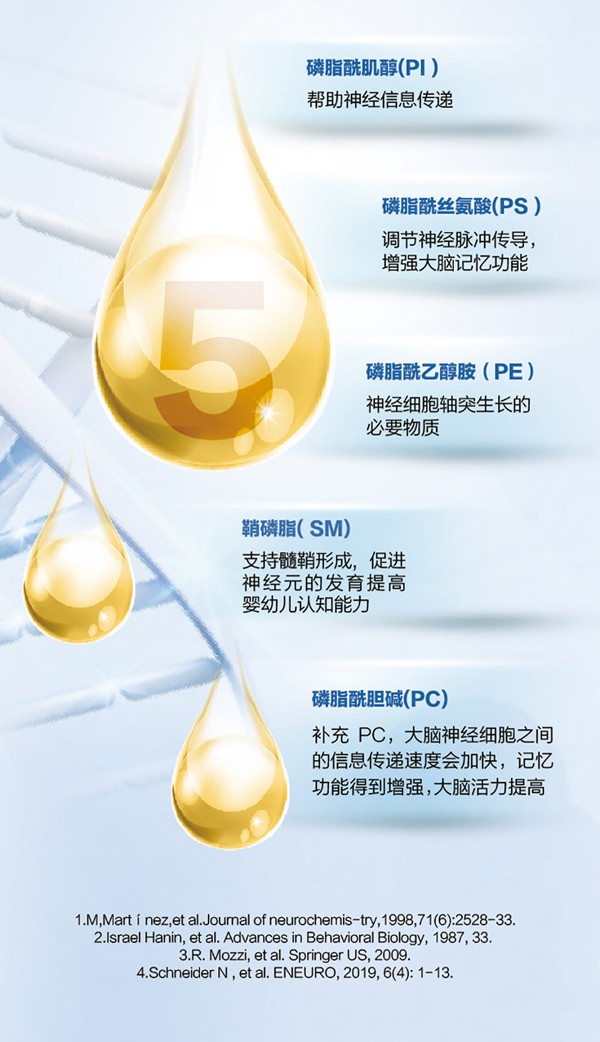   ؐ������Խ�׃��䷽�̷�(12-36���g��3��)4