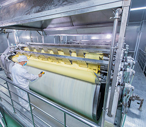  ��������S31