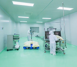  ��������S1