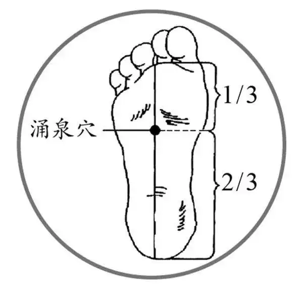 蔡氏名門(mén)脾胃保健貼6.png