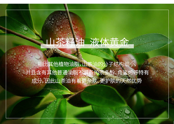 天使森林山茶油精華潤(rùn)膚霜詳情_(kāi)05.jpg