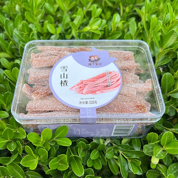  �ɂ���ؐѩɽ�