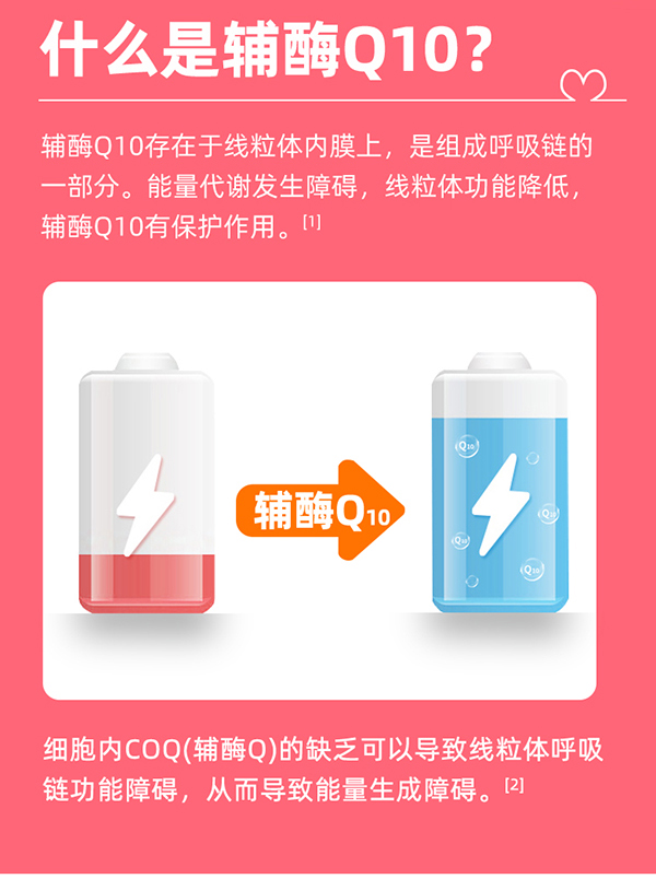 黃金搭檔修企牌輔酶Q10軟膠囊詳情頁_02.jpg