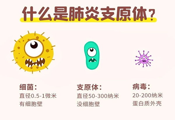 支原體肺炎.jpg 支原體肺炎.jpg