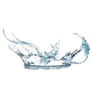 乳清發(fā)酵液.jpg 乳清發(fā)酵液.jpg