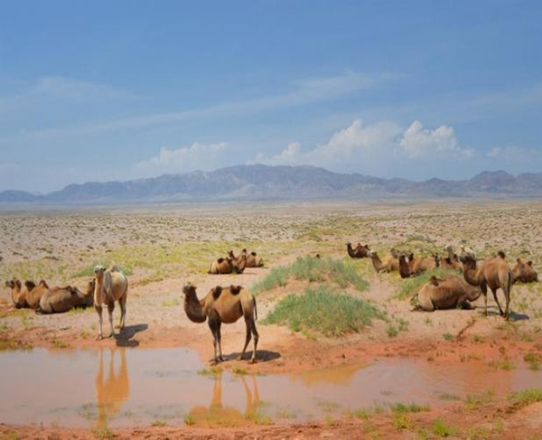 ���ƽz�ĸ�댣�������\�д����̣���ģʽ���´������oȫ�ҽ������\�����ļ�����