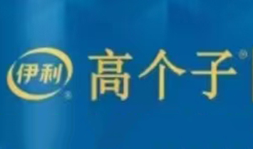 �����߂���