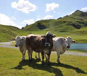 �W��������ʿ����(ch��ng)