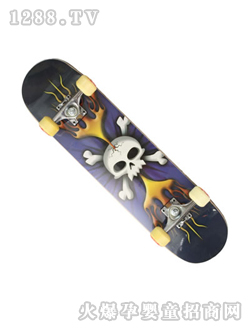 ���W�����t�^�D������