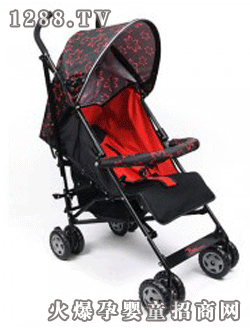 aggiya��flora�냺��܇