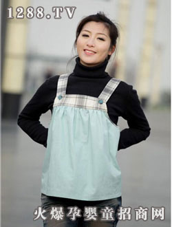 ���˿������w�S����ʽ�ЋD�bHYK069G 