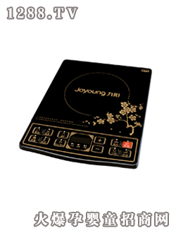 ���늴ŠtJYC-21DS29