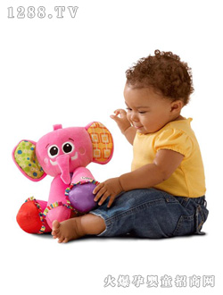 ����������С��