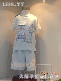 ���ރ����{ɫ���b