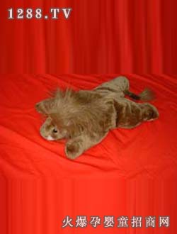 �d�A˯�´�c(di��n)-004