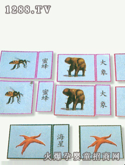 ���τ��￨Ƭ