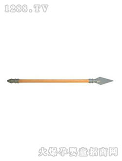 ����ľ�|(zh��)ìGZI2006