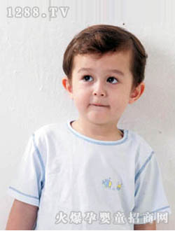 ��ľ�����{(l��n)ɫ����