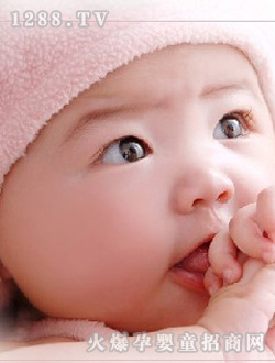 安琪爾吃手寶寶