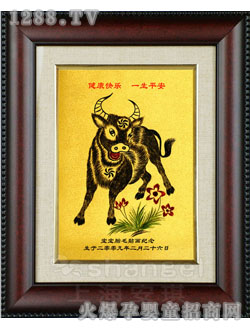 С����̥ë����ţ