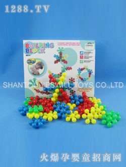 ȫʢ����ѩ���eľ