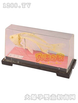 ؐ�~�����˱��̾�