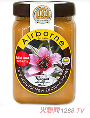 �����������R���ٻ���Ϸ���500g