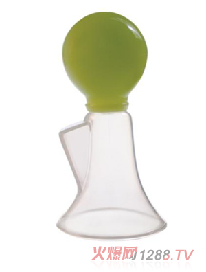 ����������(PP)