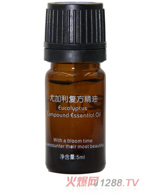 ���~�ȼ�����(f��)������