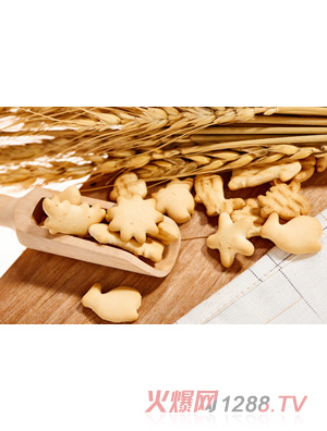 �݋댚�����-�~��